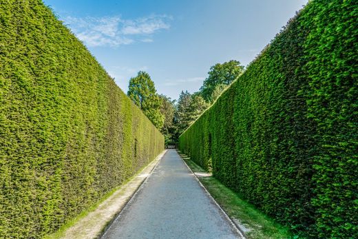 Beispielbild: hohe, exakt geschnittene Hecken beidseits eines schmalen Weges